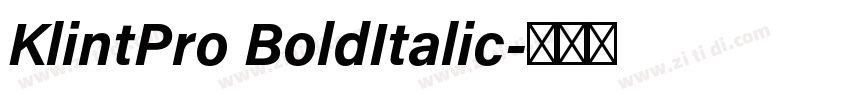KlintPro BoldItalic字体转换